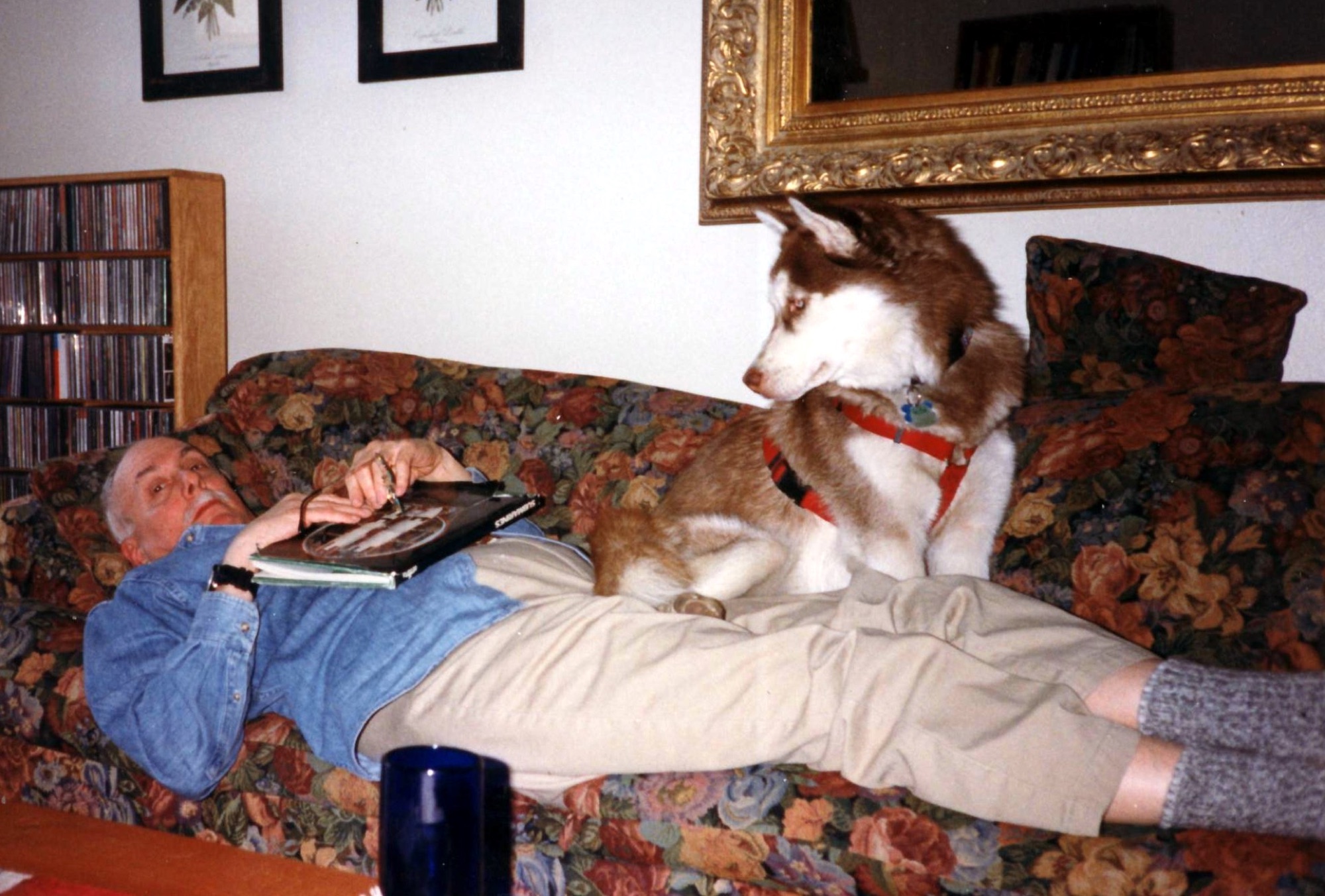 Marshall relaxing on the couch under the watchful eye of the family dog